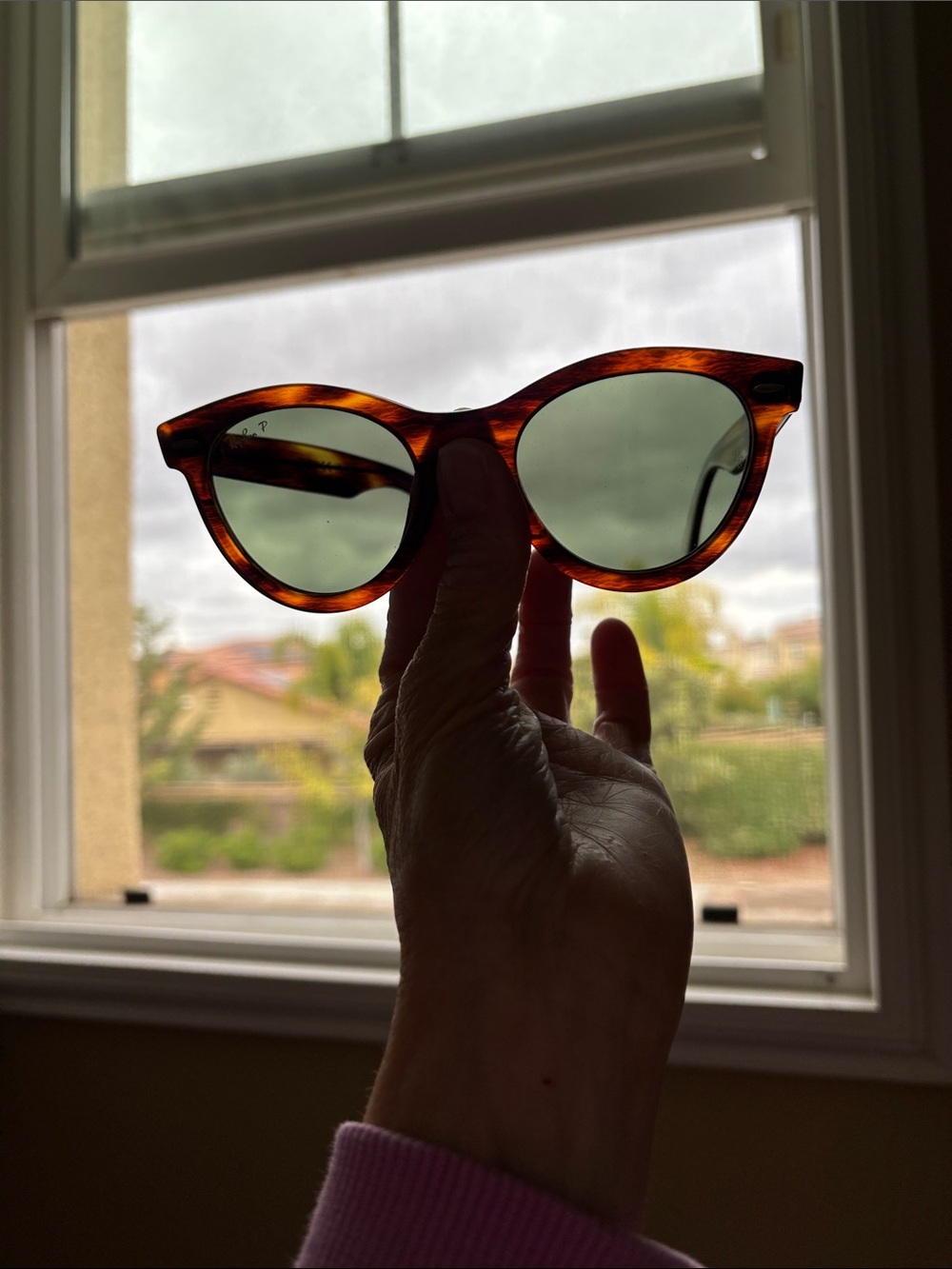 Ray-Ban Tortoiseshell Frame with Green Lenses (Wayfarer Way) - Picture 4 of 6